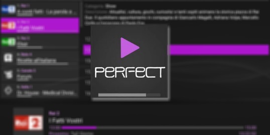 Perfect Playerv1.6